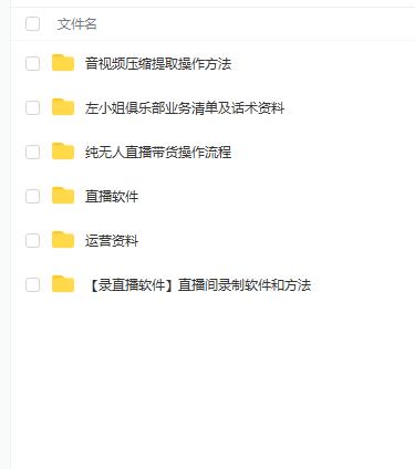左小姐-直播带货俱乐部十三行、无人直播，全套教程附：工具、文档、话术资料-佛系网创