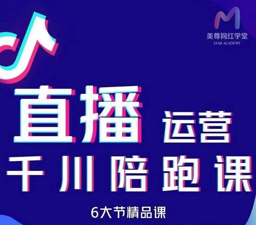 美尊-抖音直播运营千川系统课：直播?运营规划、起号、主播培养、千川投放等-佛系网创