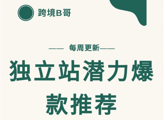 【跨境B哥】独立站潜力爆款选品推荐，测款出单率高达百分之80-佛系网创