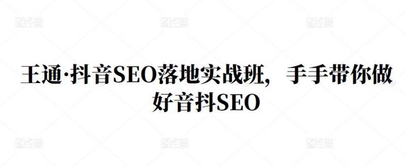 王通·抖音SEO落地实战班，手?手带你做好音抖??SEO-佛系网创