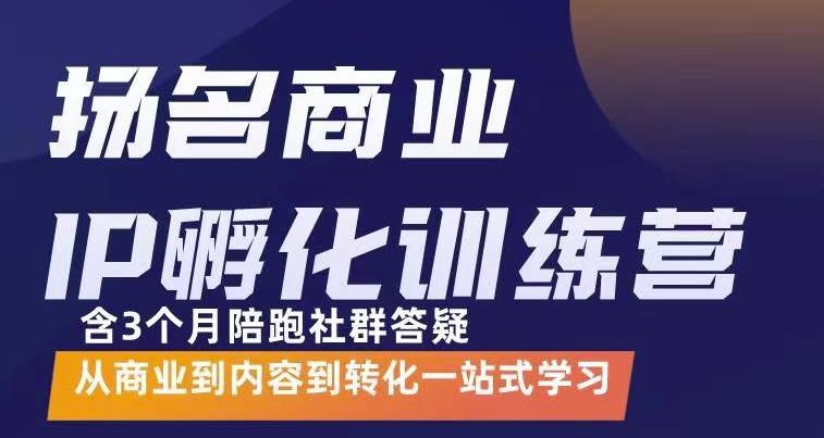 杨名商业IP孵化训练营，从商业到内容到转化一站式学 价值5980元-佛系网创