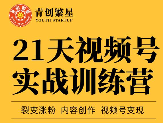 张萌21天视频号实战训练营，裂变涨粉、内容创作、视频号变现 价值298元-佛系网创