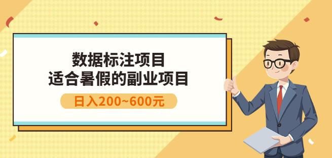 副业赚钱：人工智能数据标注项目，简单易上手，小白也能日入200+-佛系网创
