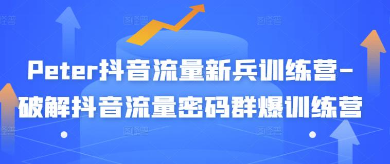 Peter抖音流量新兵训练营-破解抖音流量密码群爆训练营（新兵）-佛系网创