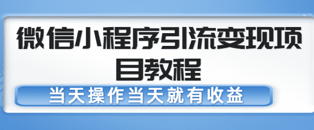 微信小程序引流变现项目教程，当天操作当天就有收益，变现不再是难事-佛系网创