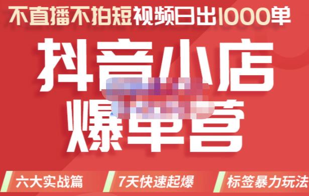 推易电商·2022年抖音小店爆单营，不直播、不拍短视频、日出1000单，暴力玩法-佛系网创