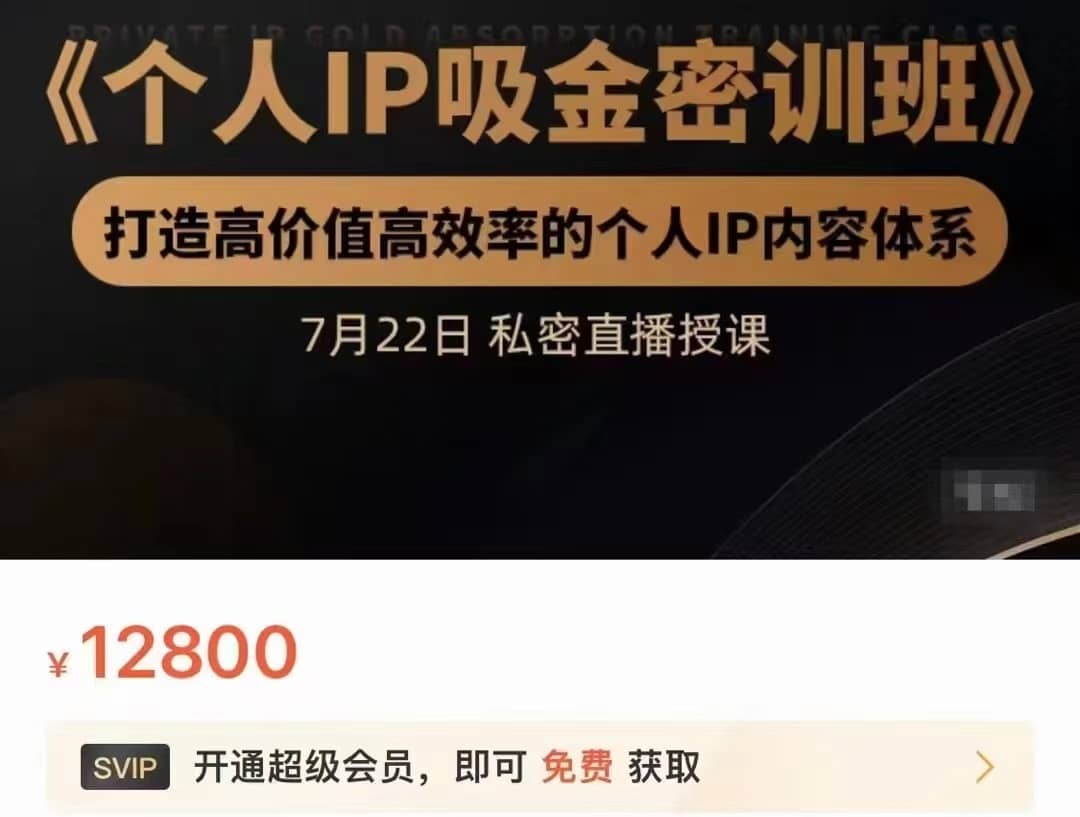 个人IP吸金密训班，打造高价值高效率的个人IP内容体系（价值12800元）-佛系网创