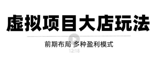 虚拟项目月入几万大店玩法分享，多店操作利润倍增（快速起店盈利）-佛系网创