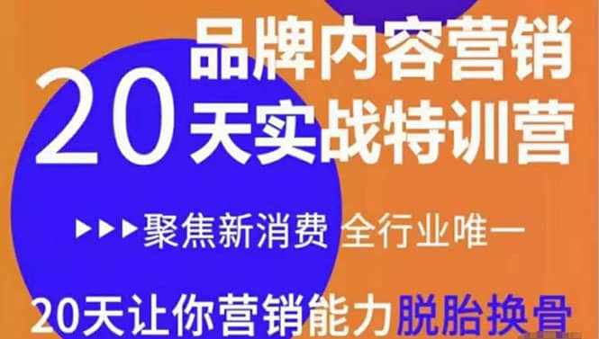 《内容营销实操特训营》20天让你营销能力脱胎换骨（价值3999）-佛系网创