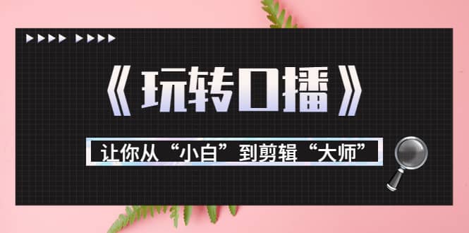 月营业额700万+大佬教您《玩转口播》让你从“小白”到剪辑“大师”-佛系网创