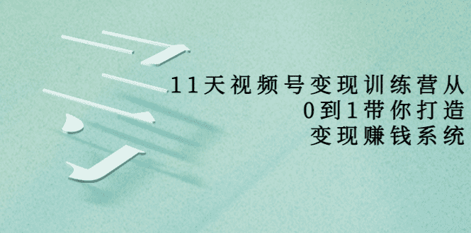 11天视频号变现训练营，从0到1打造变现赚钱系统（价值398元）-佛系网创