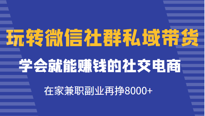 玩转微信社群私域带货，学会就能赚钱的社交电商，在家兼职副业再挣8000+-佛系网创