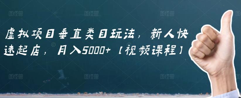 虚拟项目垂直类目玩法，新人快速起店，月入5000+【视频课程】-佛系网创