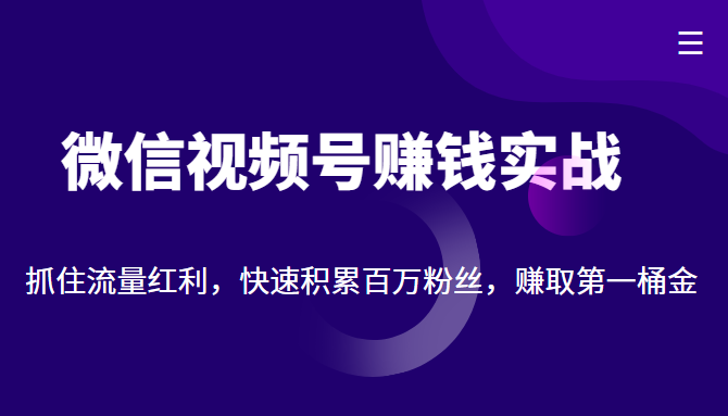 微信视频号赚钱实战：抓住流量红利，快速积累百万粉丝，赚取你的第一桶金-佛系网创