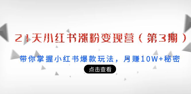 21天小红书涨粉变现营（第3期）：带你掌握小红书爆款玩法，月赚10W+秘密-佛系网创