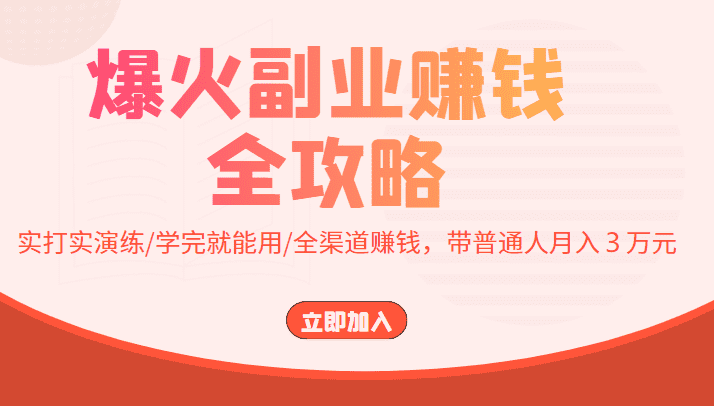 爆火副业赚钱全攻略：实打实演练/学完就能用/全渠道赚钱，带普通人月入３万元-佛系网创