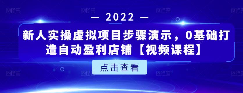 新人实操虚拟项目步骤演示，0基础打造自动盈利店铺【视频课程】-佛系网创