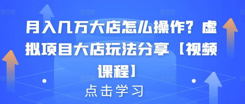 月入几万大店怎么操作？虚拟项目大店玩法分享【视频课程】-佛系网创