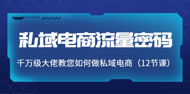 私域电商流量密码：千万级大佬教您如何做私域电商（12节课）-佛系网创