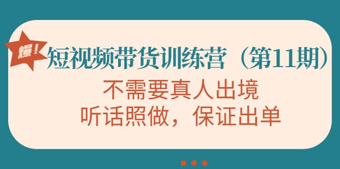 视频带货训练营，不需要真人出境，听话照做，保证出单（第11期）-佛系网创