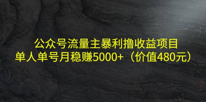 公众号流量主暴利撸收益项目，单人单号月稳赚5000+（价值480元）-佛系网创