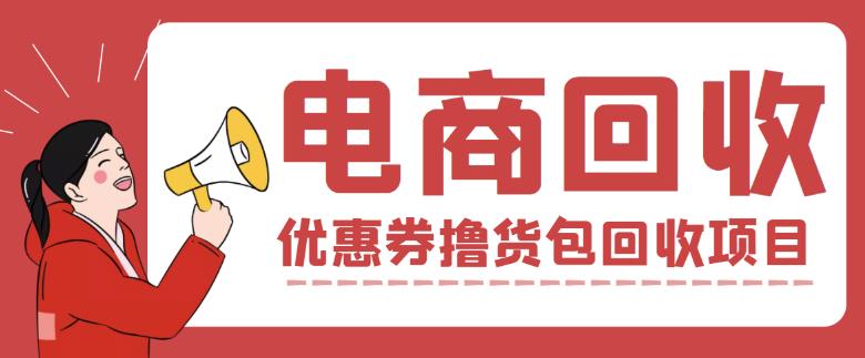 外面收费388的电商回收项目，一单利润100+-佛系网创