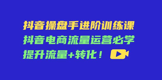 抖音操盘手进阶训练课：抖音电商流量运营必学，提升流量+转化-佛系网创