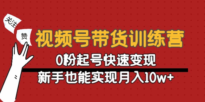 视频号带货训练营：0粉起号快速变现，新手也能实现月入10w+-佛系网创