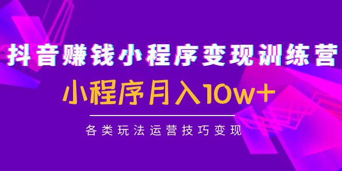 抖音赚钱小程序变现训练营：小程序月入10w+各类玩法运营技巧变现-佛系网创