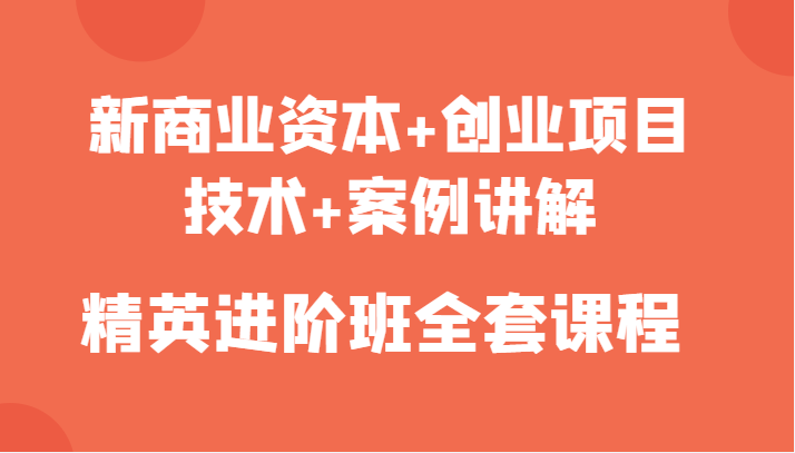 新商业资本+创业项目，技术+案例讲解，精英进阶班全套课程-佛系网创