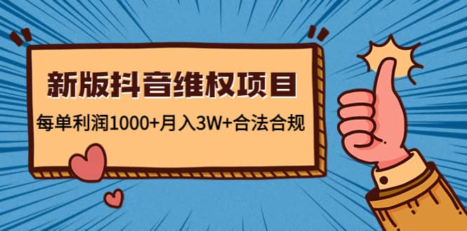 新版抖音维全项目：每单利润1000+月入3W+合法合规-佛系网创