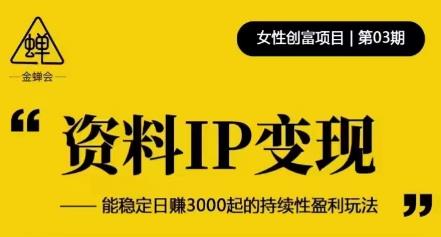 资料IP变现，能稳定日赚3000起的持续性盈利玩法-佛系网创