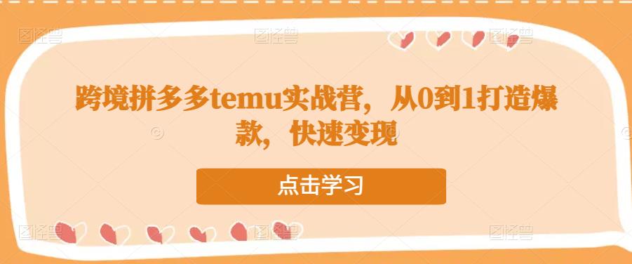 跨境拼多多temu实战营，从0到1打造爆款，快速变现-佛系网创
