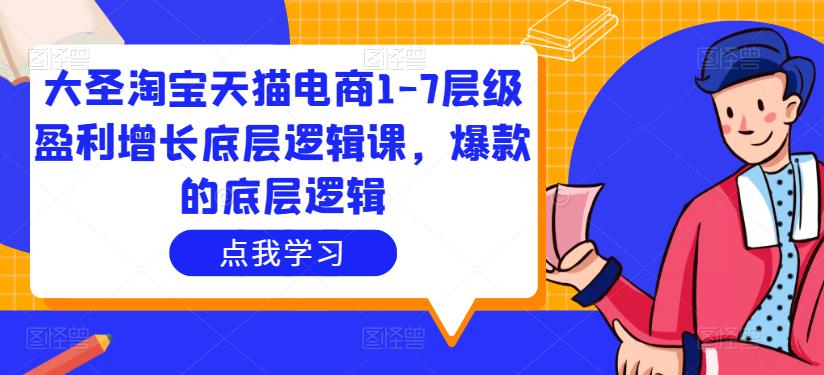 大圣淘宝天猫电商1-7层级盈利增长底层逻辑课，爆款的底层逻辑-佛系网创