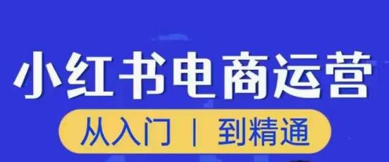 顽石小红书电商高阶运营课程，从入门到精通，玩法流程持续更新-佛系网创