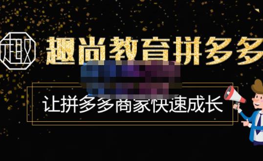 趣尚教育·拼多多运营实操VIP特训营，让拼多多商家快速成长-价值3180元-佛系网创
