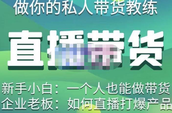 硬核传媒·直播带货（私人教练），实操实战教学，通俗易懂，学完后新手小白一个人也能做带货-佛系网创