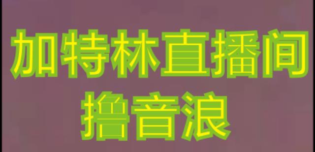抖音加特林直播间搭建技术，抖音0粉开播，暴力撸音浪，2023新口子，每天800+【素材+详细教程】-佛系网创