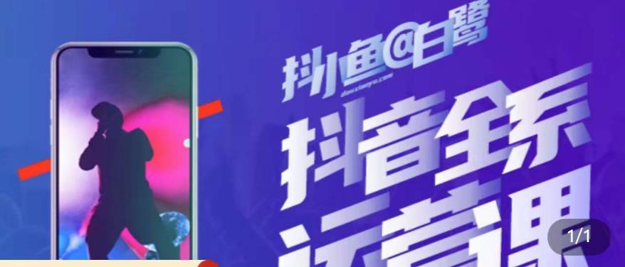 白鹭·主播内训营，运营主播话术起号进阶能力提升-佛系网创
