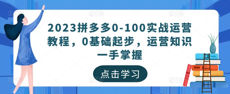 2023拼多多0-100实战运营教程，0基础起步，运营知识一手掌握-佛系网创