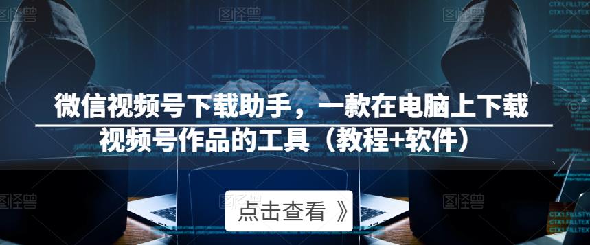 微信视频号下载助手，一款在电脑上下载视频号作品的工具（教程+软件）-佛系网创