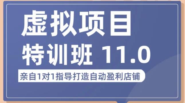 陆明明·虚拟项目特训班（10.0+11.0），0成本获取虚拟素材，0基础打造自动盈利店铺-佛系网创