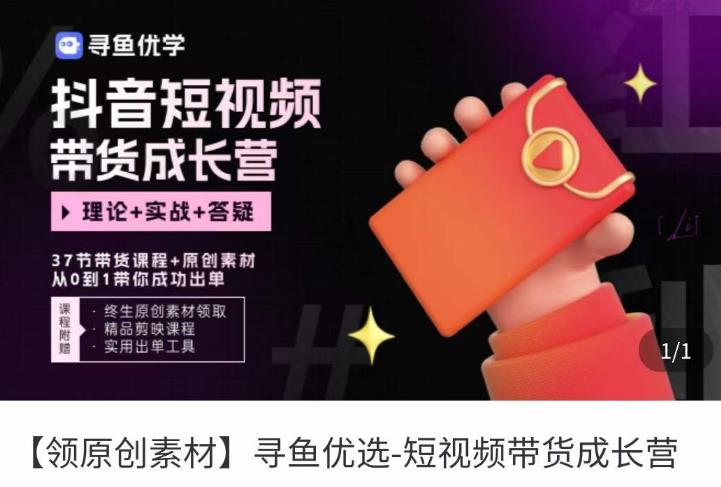 短视频带货成长营，?抖音短视频出单攻略，吃透账号运营的奥秘，轻松带货-佛系网创
