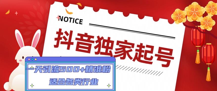 抖音独家起号，一天引流500+精准粉，适合各类行业（9节视频课）-佛系网创