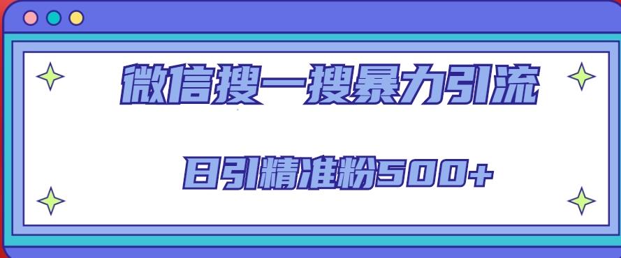 微信搜一搜引流全系列课程，日引精准粉500+（8节课）-佛系网创