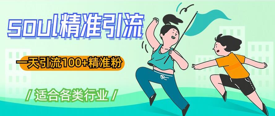 soul精准引流系列课程，一天引流100+精准粉，适合各类行业-佛系网创