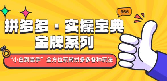 拼多多·实操宝典：金牌系列“小白到高手”带你全方位玩转拼多多各种玩法-佛系网创
