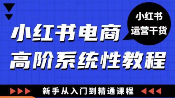 小红书电商高阶系统教程，新手从入门到精通系统课-佛系网创