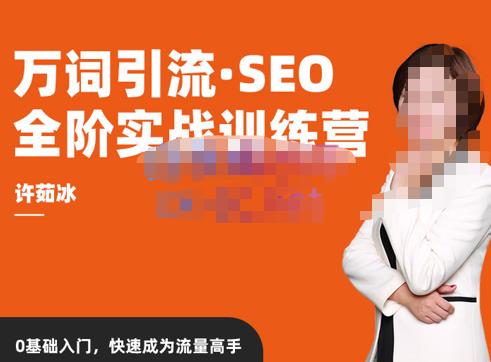 许茹冰·万词引流-SEO全阶实战训练营，0基础入门，快速成为流量高手-佛系网创