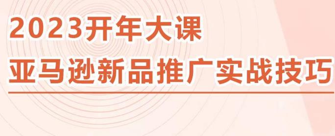 2023亚马逊新品推广实战技巧，线下百万美金课程的精简版，简单粗暴可复制，实操性强的推广手段-佛系网创